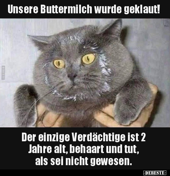 Unsere Buttermilch wurde geklaut! Der einzige Verdächtige.. - Lustige Bilder | DEBESTE.de