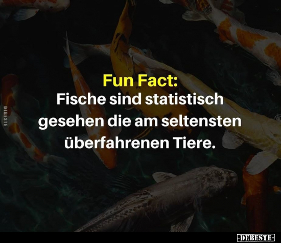 Fun Fact: Fische sind statistisch gesehen die am seltensten.. - Lustige Bilder | DEBESTE.de