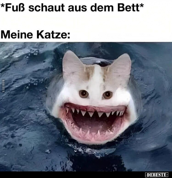 *Fuß schaut aus dem Bett*.. - Lustige Bilder | DEBESTE.de