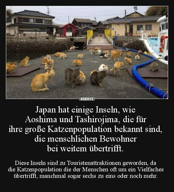 Japan hat einige Inseln, wie Aoshima und Tashirojima.. - Lustige Bilder | DEBESTE.de