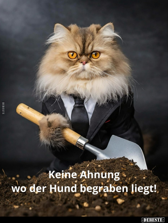 Keine Ahnung wo der Hund begraben liegt!.. - Lustige Bilder | DEBESTE.de