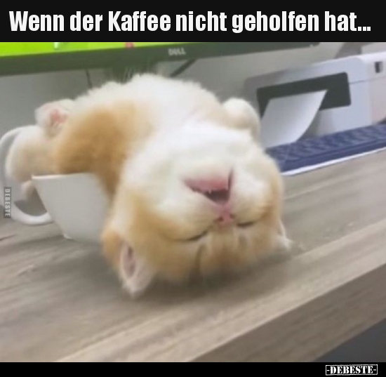 Wenn der Kaffee nicht geholfen hat... - Lustige Bilder | DEBESTE.de