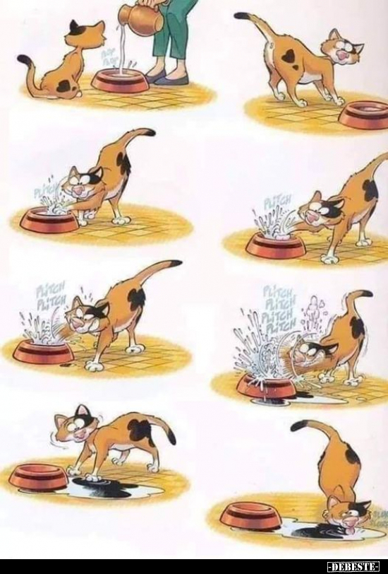  - Lustige Bilder | DEBESTE.de