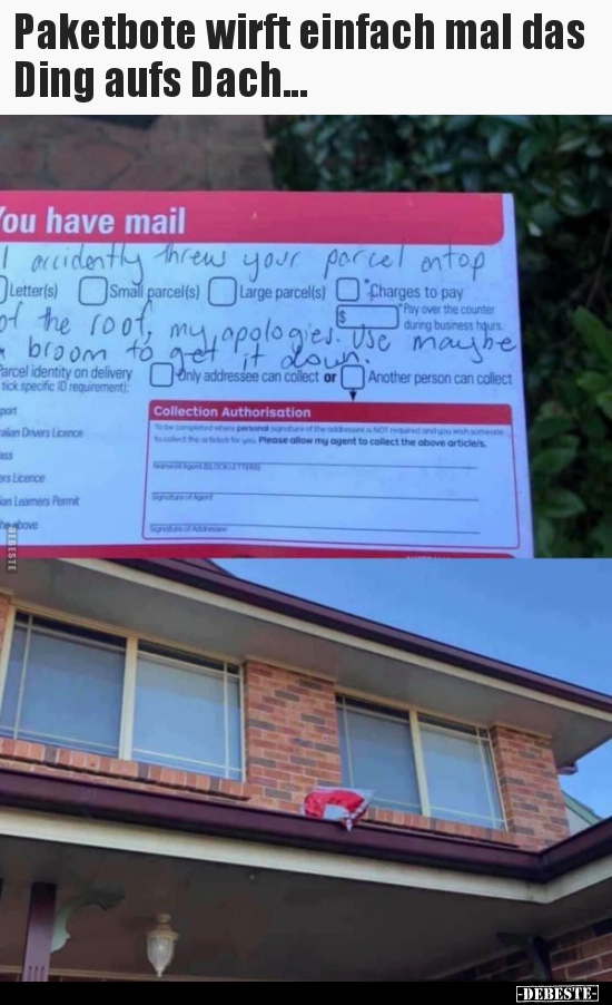 Paketbote wirft einfach mal das Ding aufs Dach...