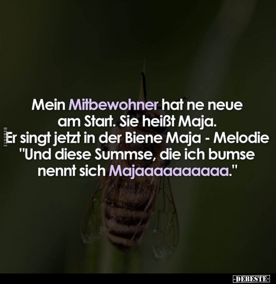 Mein Mitbewohner hat ne neue am Start.. - Lustige Bilder | DEBESTE.de