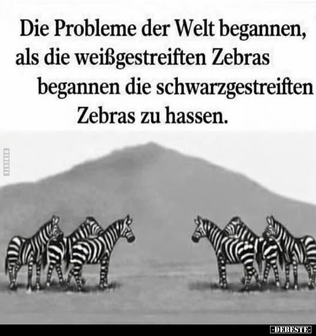 Die Probleme der Welt begannen, als die weißgestreiften Zebras begannen die schwarzgestreiften Zebras zu hassen.