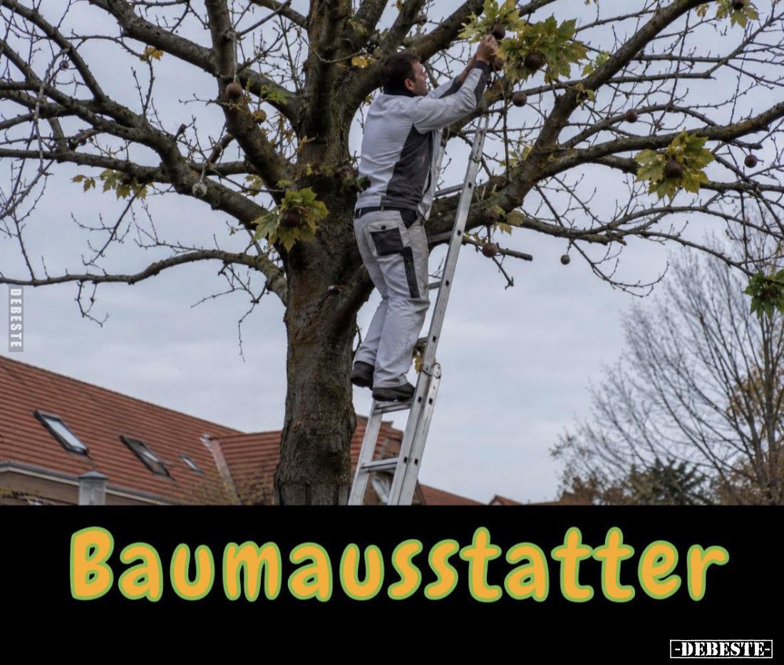 Baumausstatter.