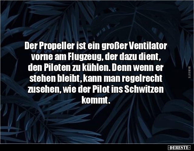 Der Propeller ist ein großer Ventilator vorne am Flugzeug.. - Lustige Bilder | DEBESTE.de