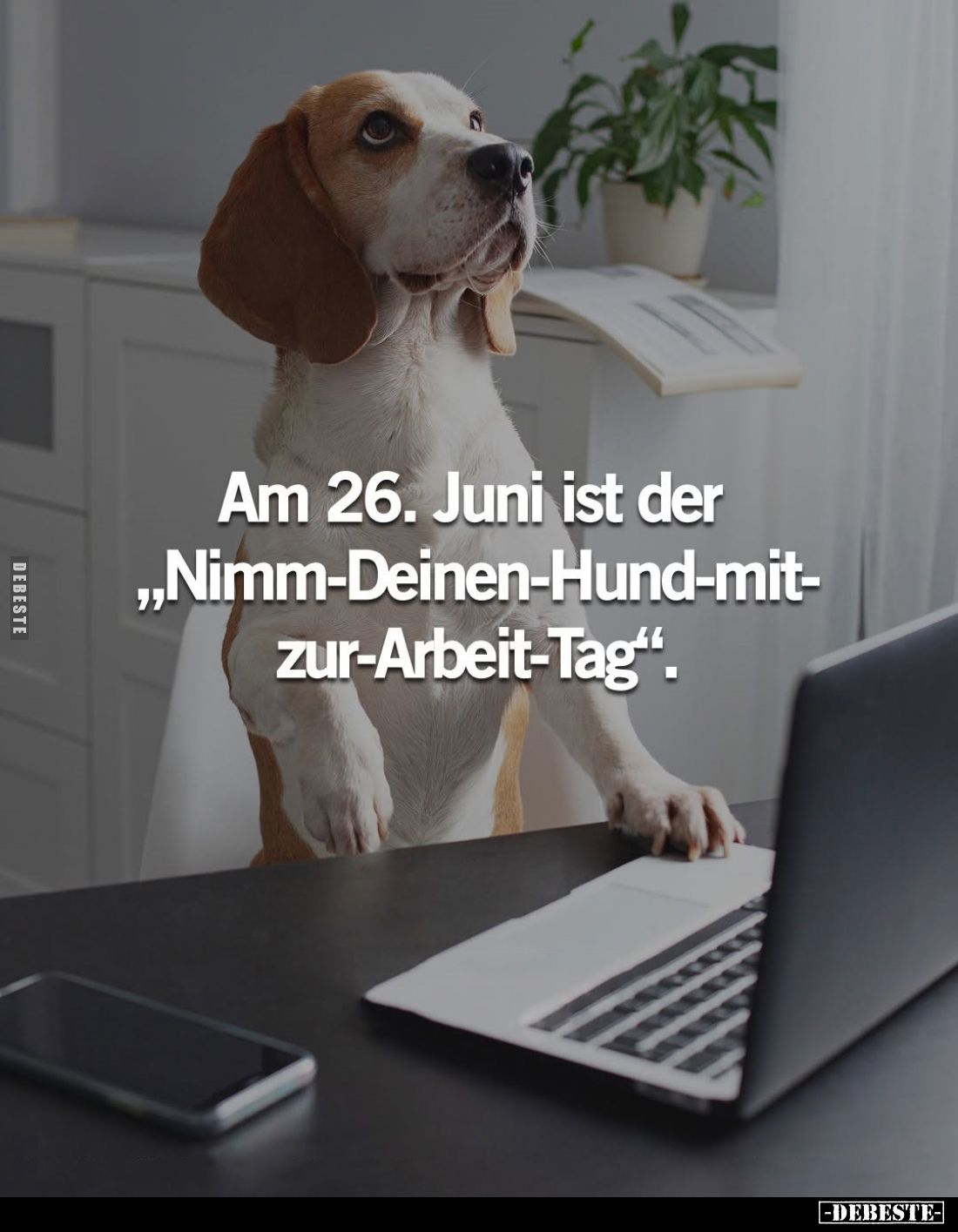 Am 26. Juni ist der "Nimm-Deinen-Hund-mit-zur-Arbeit-Tag".