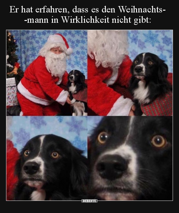 Er hat erfahren, dass es den Weihnachtsmann in.. - Lustige Bilder | DEBESTE.de