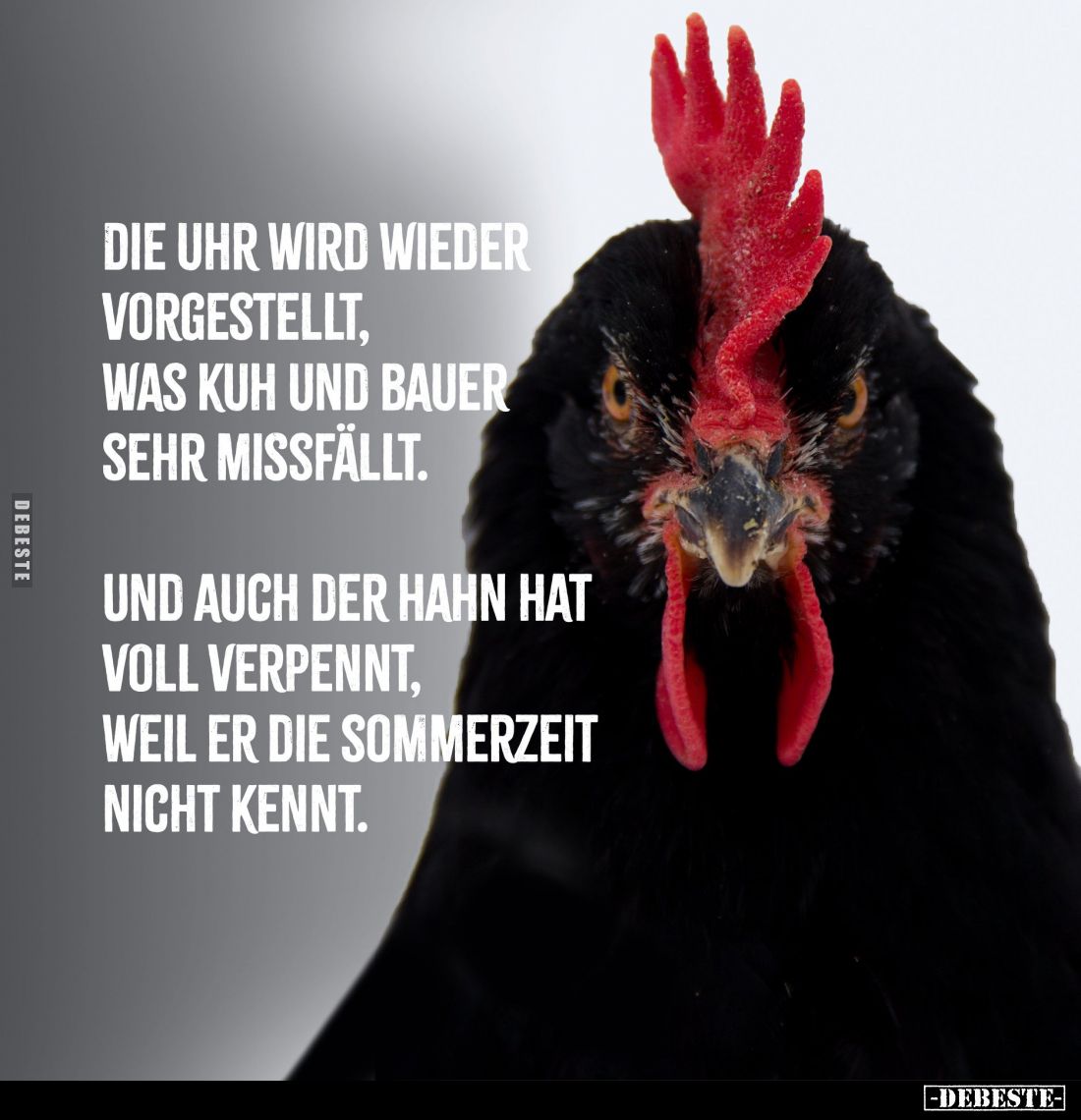 Die Uhr wird wieder vorgestellt... - Lustige Bilder | DEBESTE.de