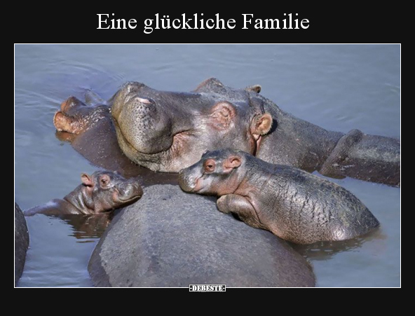 Eine glückliche Familie.. - Lustige Bilder | DEBESTE.de