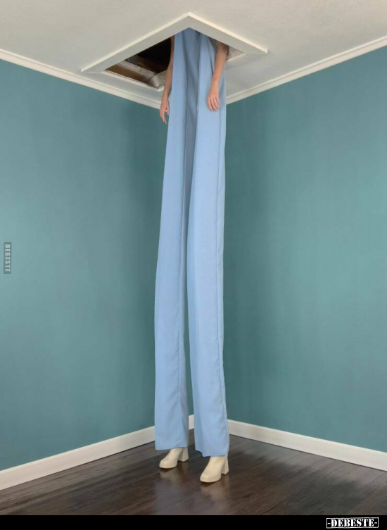  - Lustige Bilder | DEBESTE.de