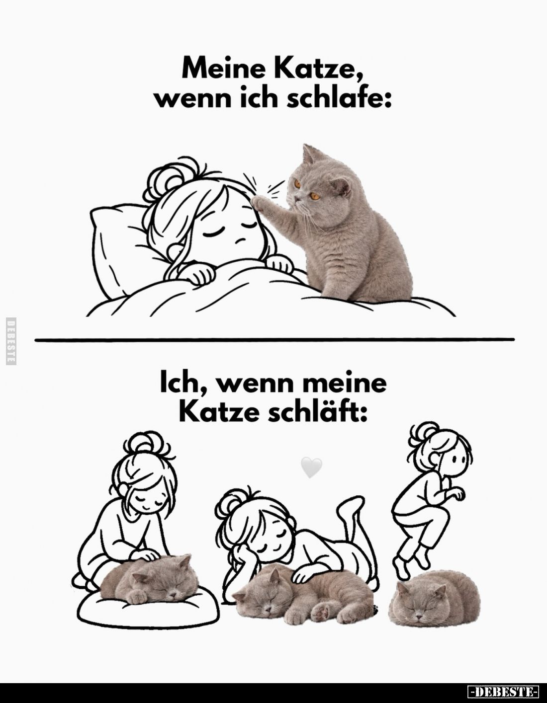 Meine Katze, wenn ich schlafe:
Ich, wenn meine Katze schläft: