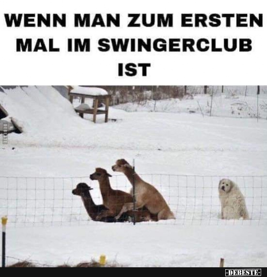Wenn man zum ersten Mal im Swingerclub ist.. - Lustige Bilder | DEBESTE.de