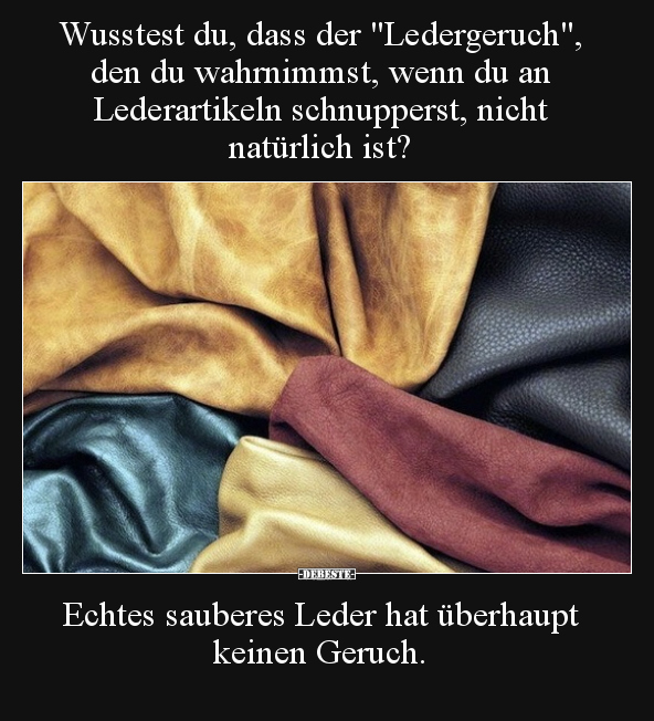 Wusstest du, dass der "Ledergeruch", den du wahrnimmst.. - Lustige Bilder | DEBESTE.de