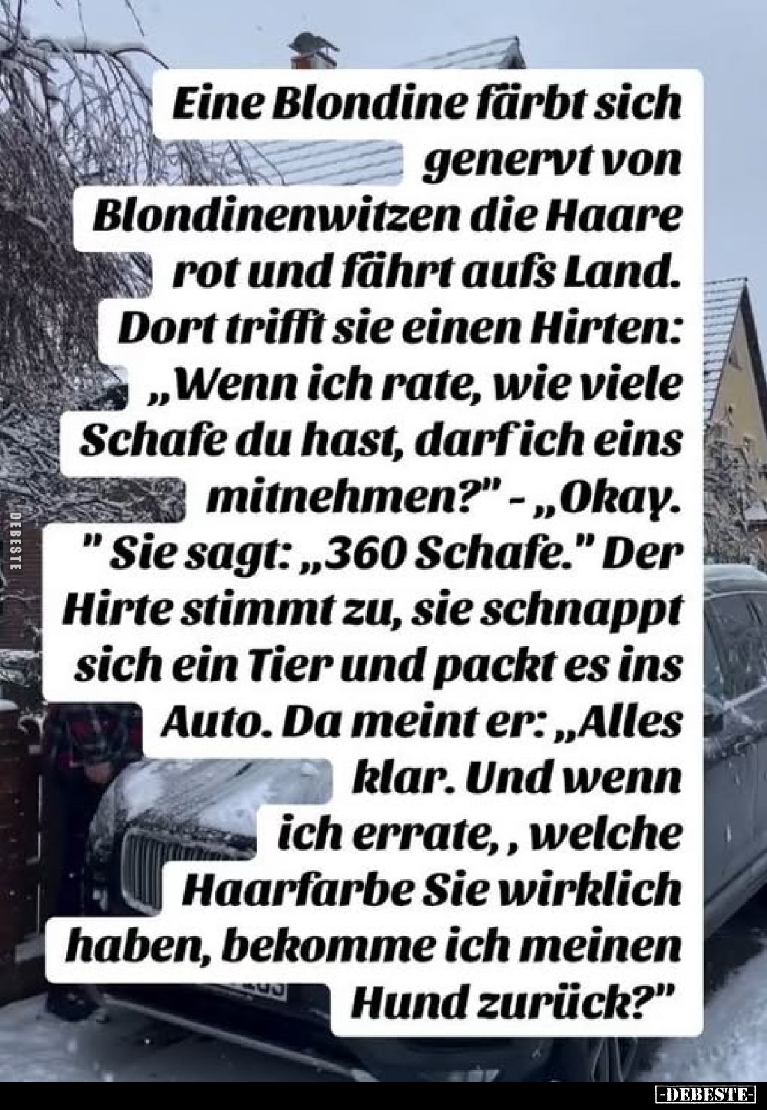 Eine Blondine färbt sich genervt von Blondinenwitzen die Haare rot und fährt aufs Land. Dort trifft sie einen Hirten: „Wenn i...