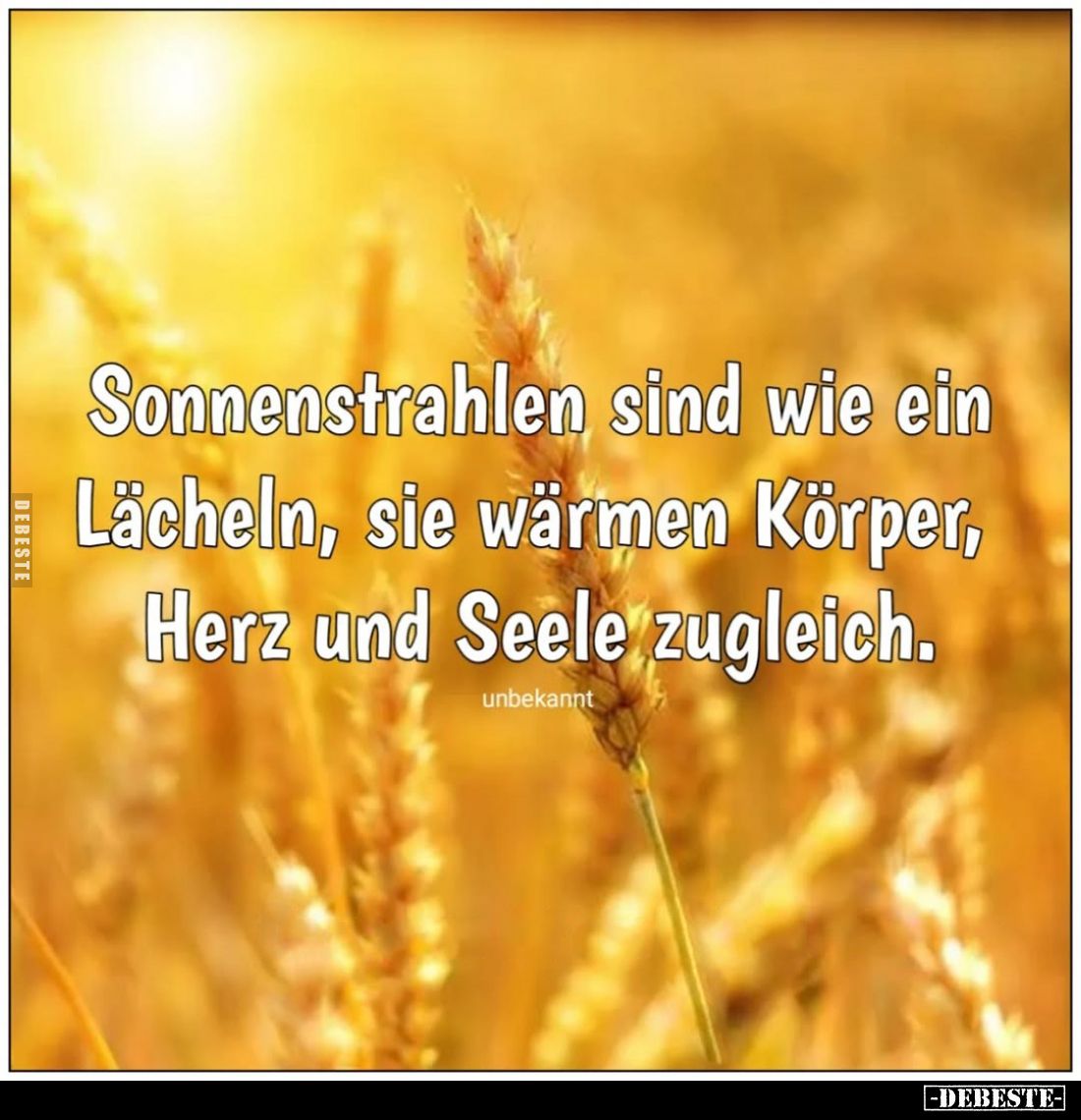 Sonnenstrahlen sind wie ein Lächeln, sie wärmen Körper, Herz und Seele zugleich.