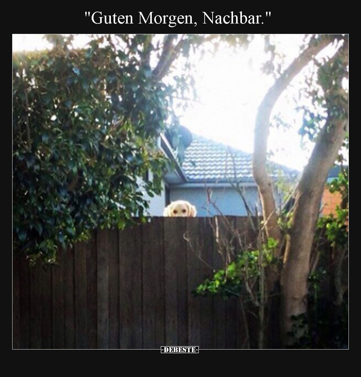 Guten Morgen, Nachbar