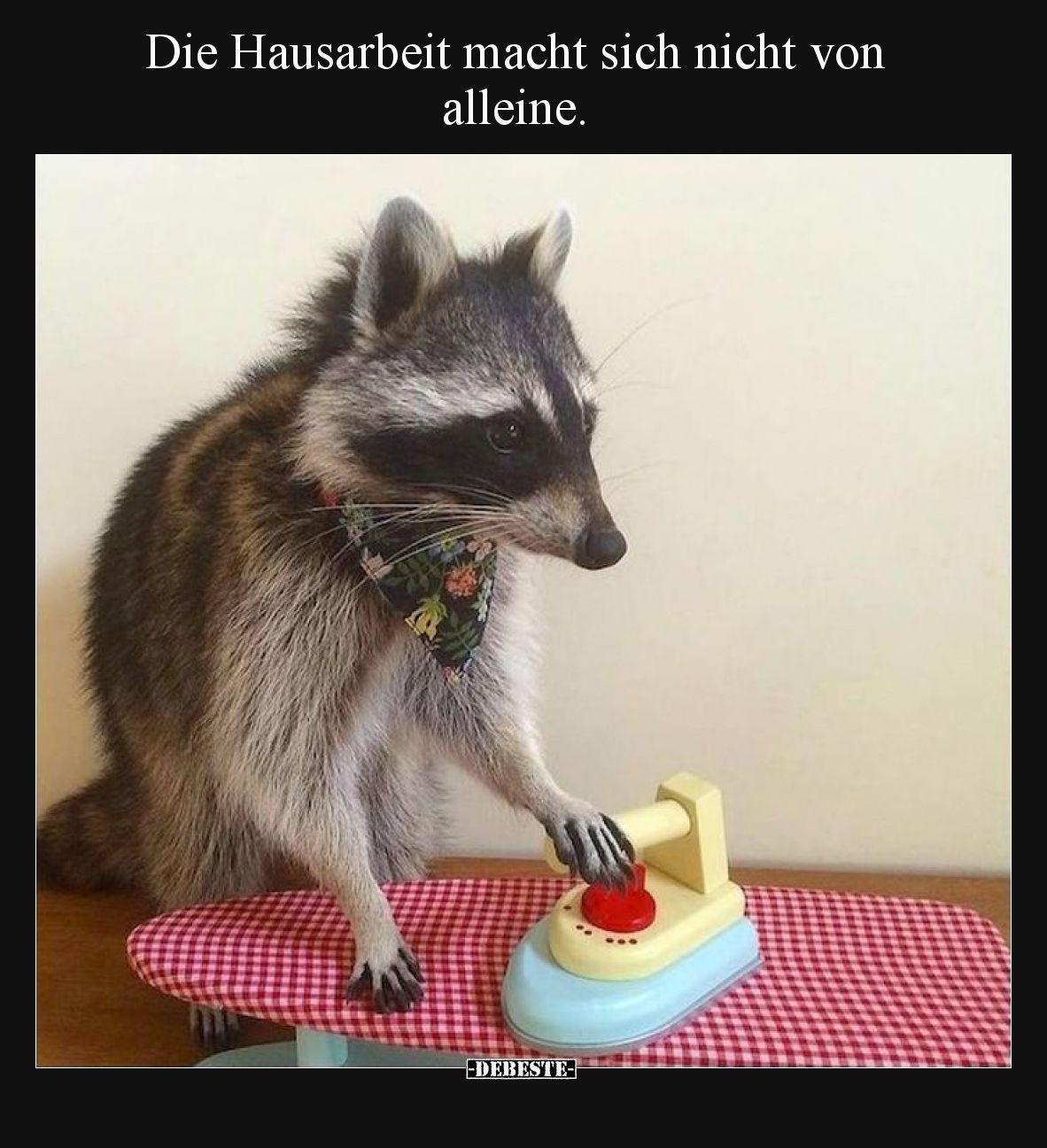 Die Hausarbeit macht sich nicht von alleine.