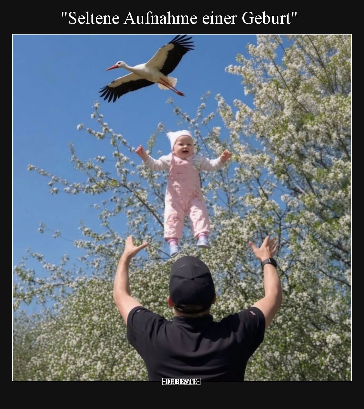 Seltene Aufnahme einer Geburt