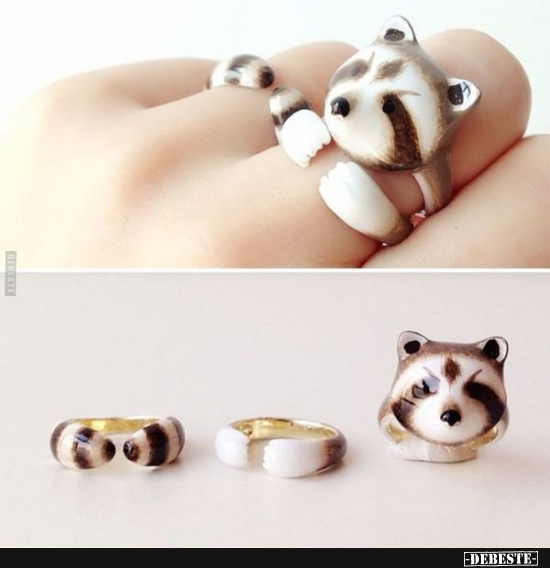  - Lustige Bilder | DEBESTE.de