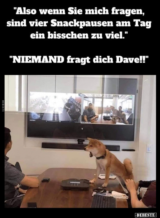 "Also wenn Sie mich fragen, sind vier Snackpausen am Tag.." - Lustige Bilder | DEBESTE.de