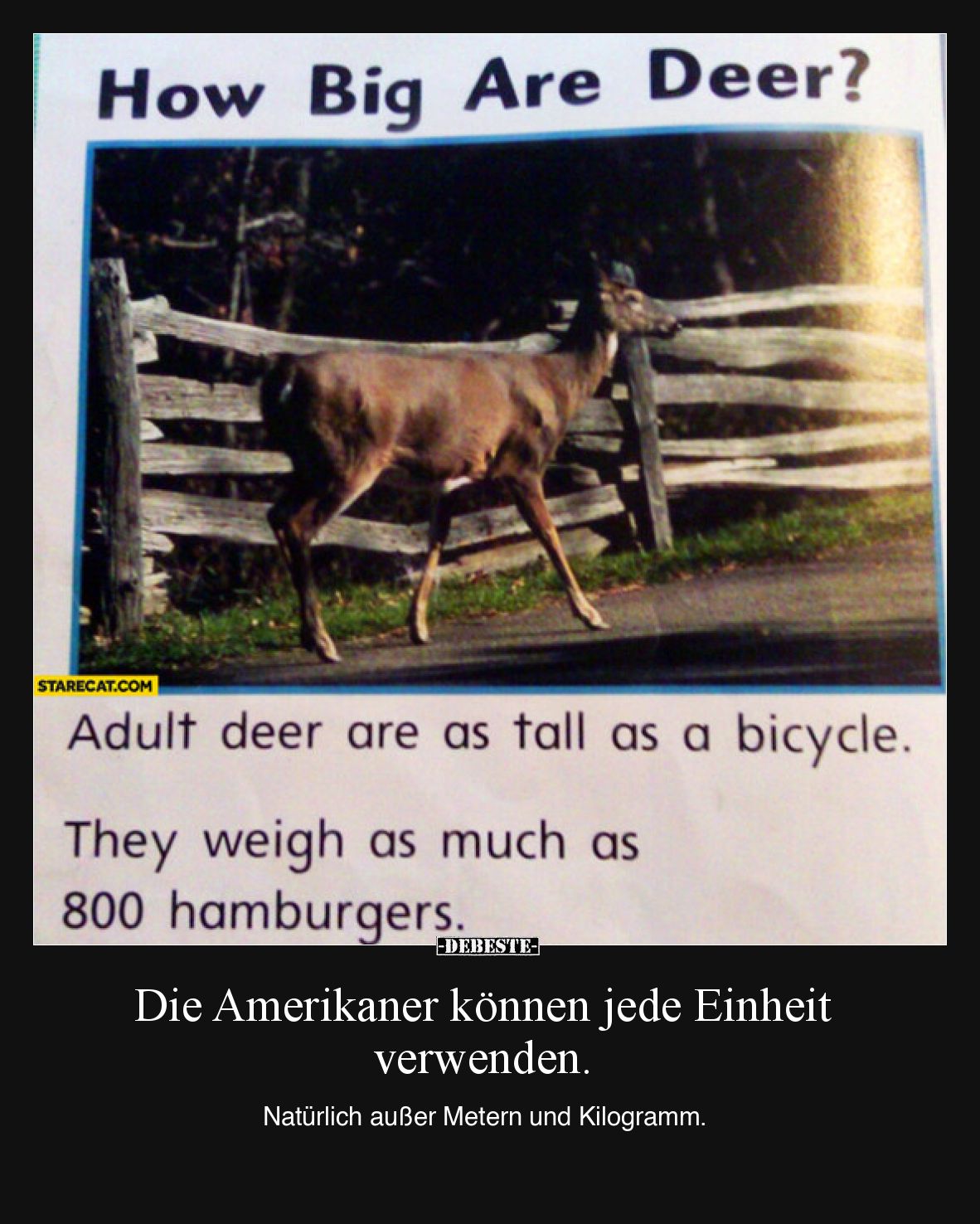 Die Amerikaner können jede Einheit verwenden. Natürlich außer Metern und Kilogramm.