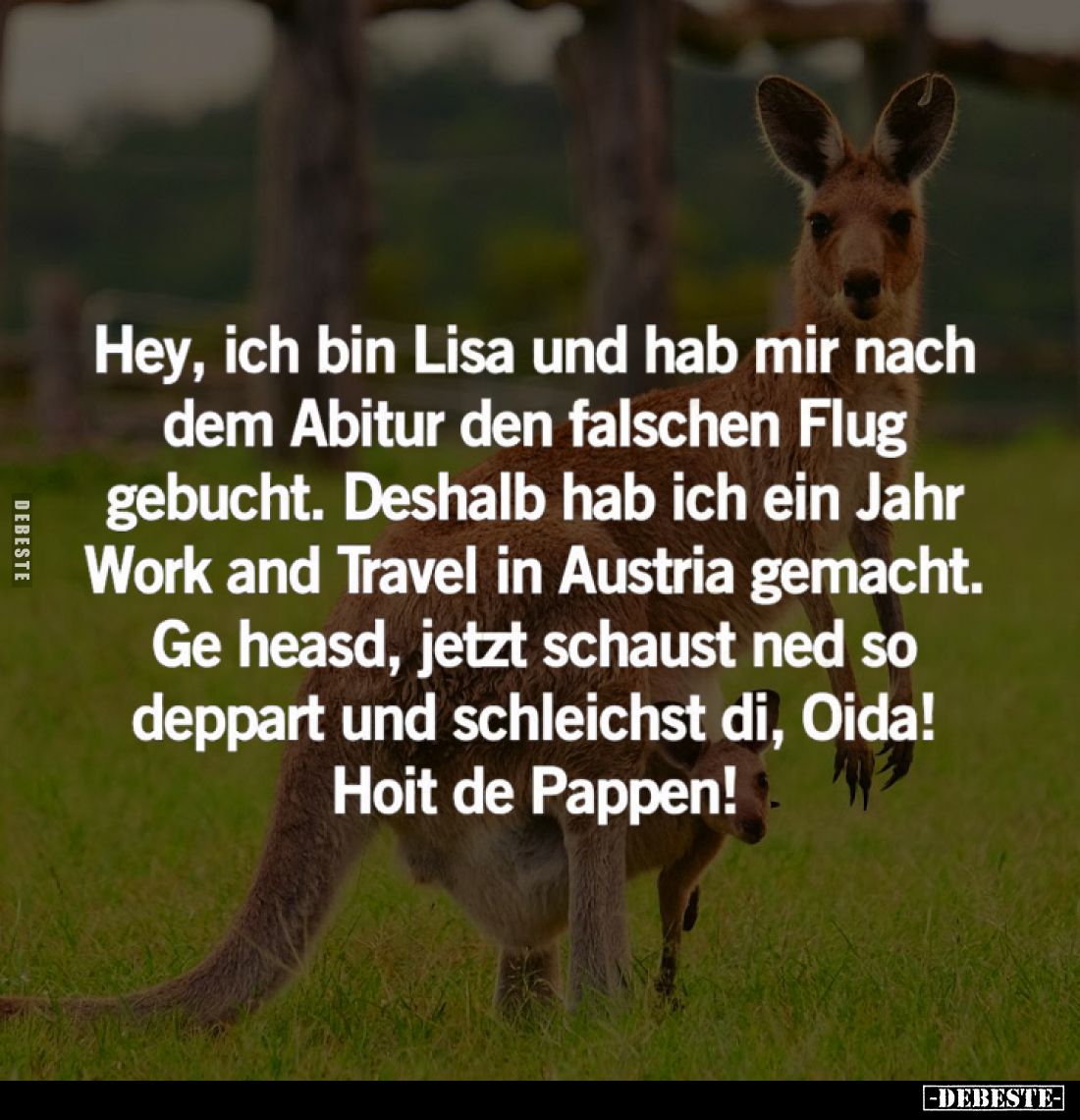 Hey, ich bin Lisa und hab mir nach dem Abitur den falschen Flug gebucht. Deshalb hab ich ein Jahr Work and Travel in Austria ...