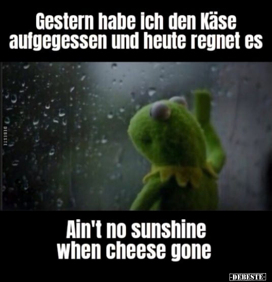 Gestern habe ich den Käse aufgegessen und heute regnet.. - Lustige Bilder | DEBESTE.de