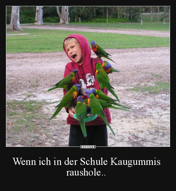 Wenn ich in der Schule Kaugummis raushole..