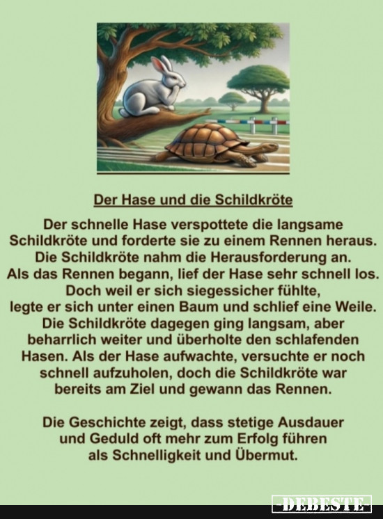 Der Hase und die Schildkröte - Lustige Bilder | DEBESTE.de