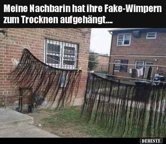 Meine Nachbarin hat ihre Fake-Wimpern zum Trocknen..