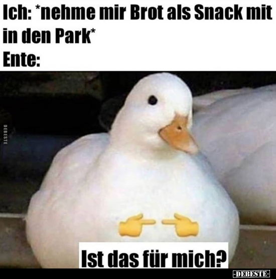 Ich: *nehme mir Brot als Snack mit in den Park*.. - Lustige Bilder | DEBESTE.de