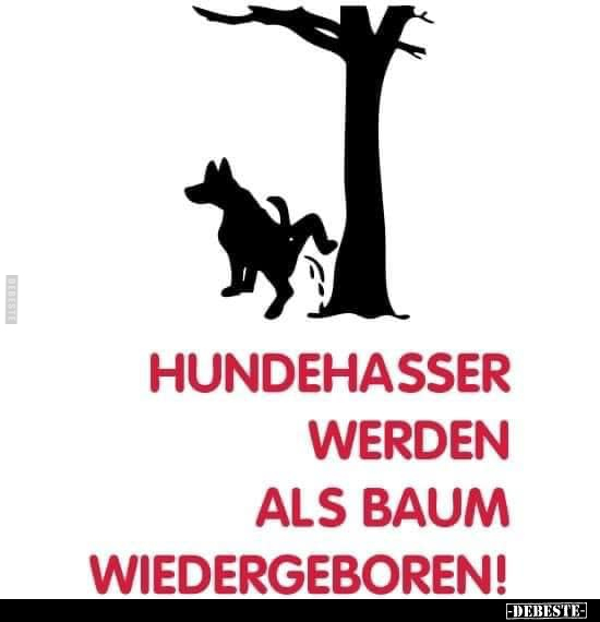 Hundehasser werden als Baum wiedergeboren!.. - Lustige Bilder | DEBESTE.de