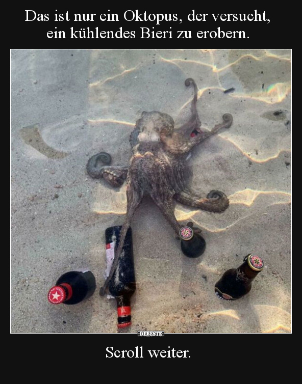 Das ist nur ein Oktopus, der versucht, ein kühlendes Bieri.. - Lustige Bilder | DEBESTE.de