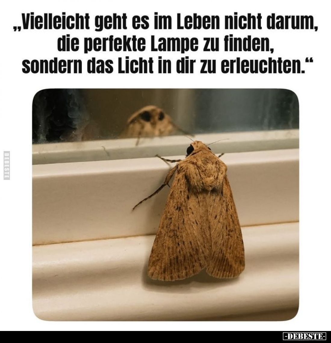 "Vielleicht geht es im Leben nicht darum, die perfekte.." - Lustige Bilder | DEBESTE.de