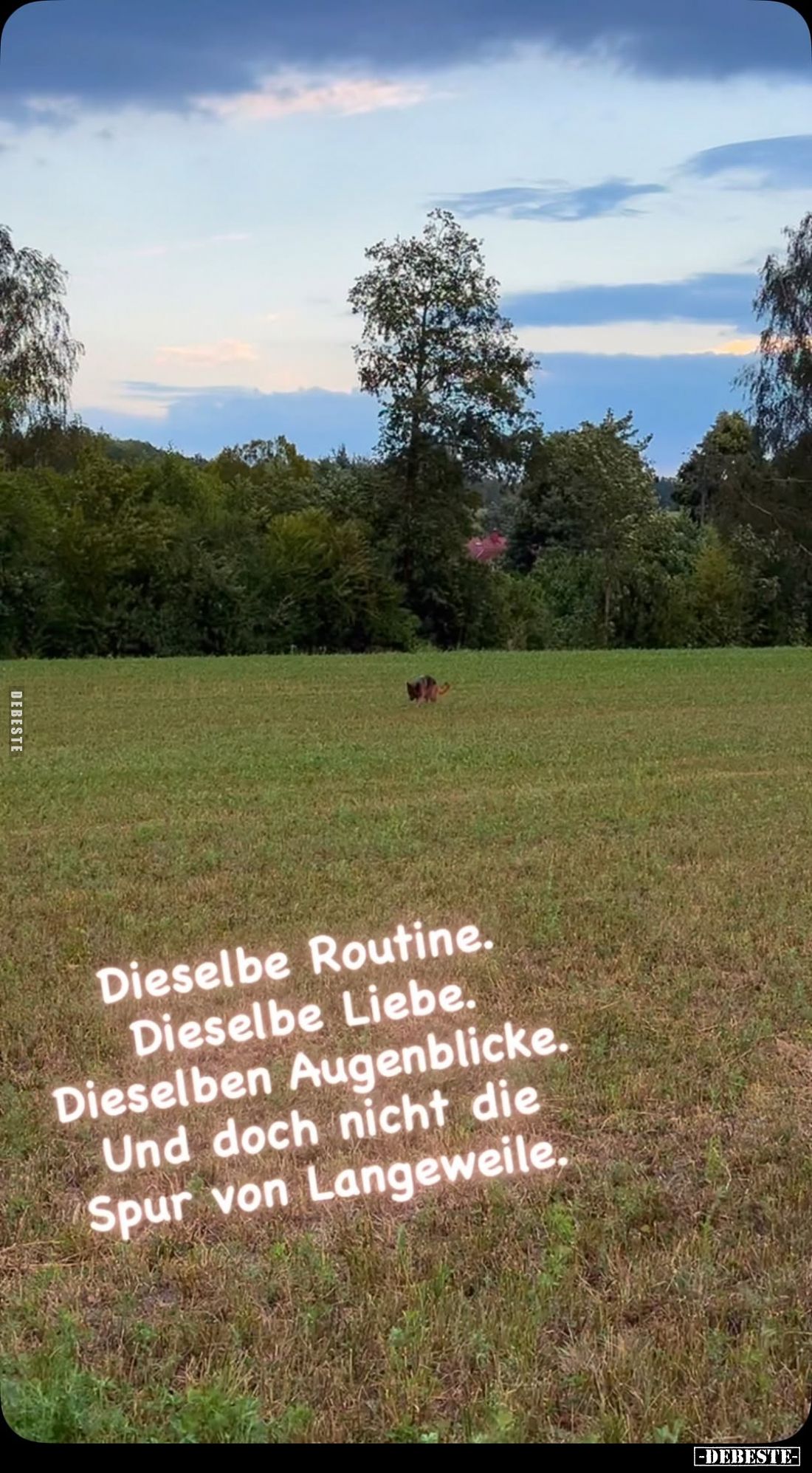 Dieselbe Routine.
Dieselbe Liebe.
Dieselben Augenblicke. Und doch nicht die Spur von Langeweile.
