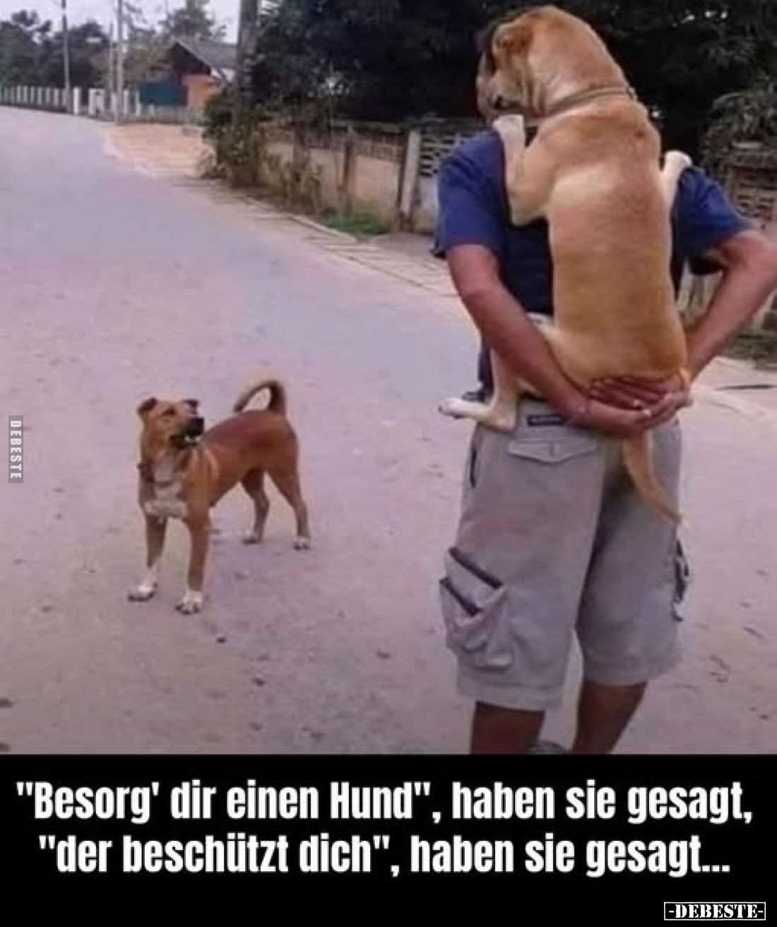 "Besorg' dir einen Hund", haben sie gesagt,
"der beschützt dich", haben sie gesagt...