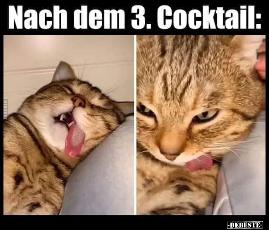 Nach dem 3. Cocktail.. - Lustige Bilder | DEBESTE.de