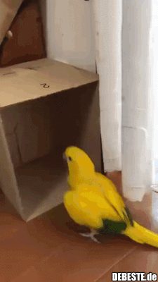  - Lustige Bilder | DEBESTE.de