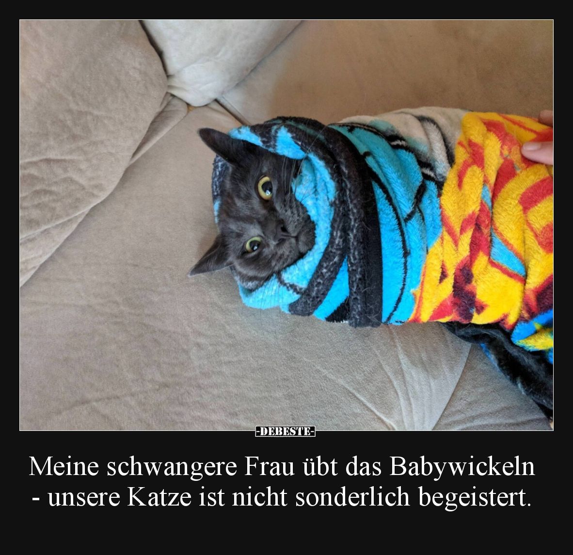 Meine schwangere Frau übt das Babywickeln - unsere Katze ist nicht sonderlich begeistert.