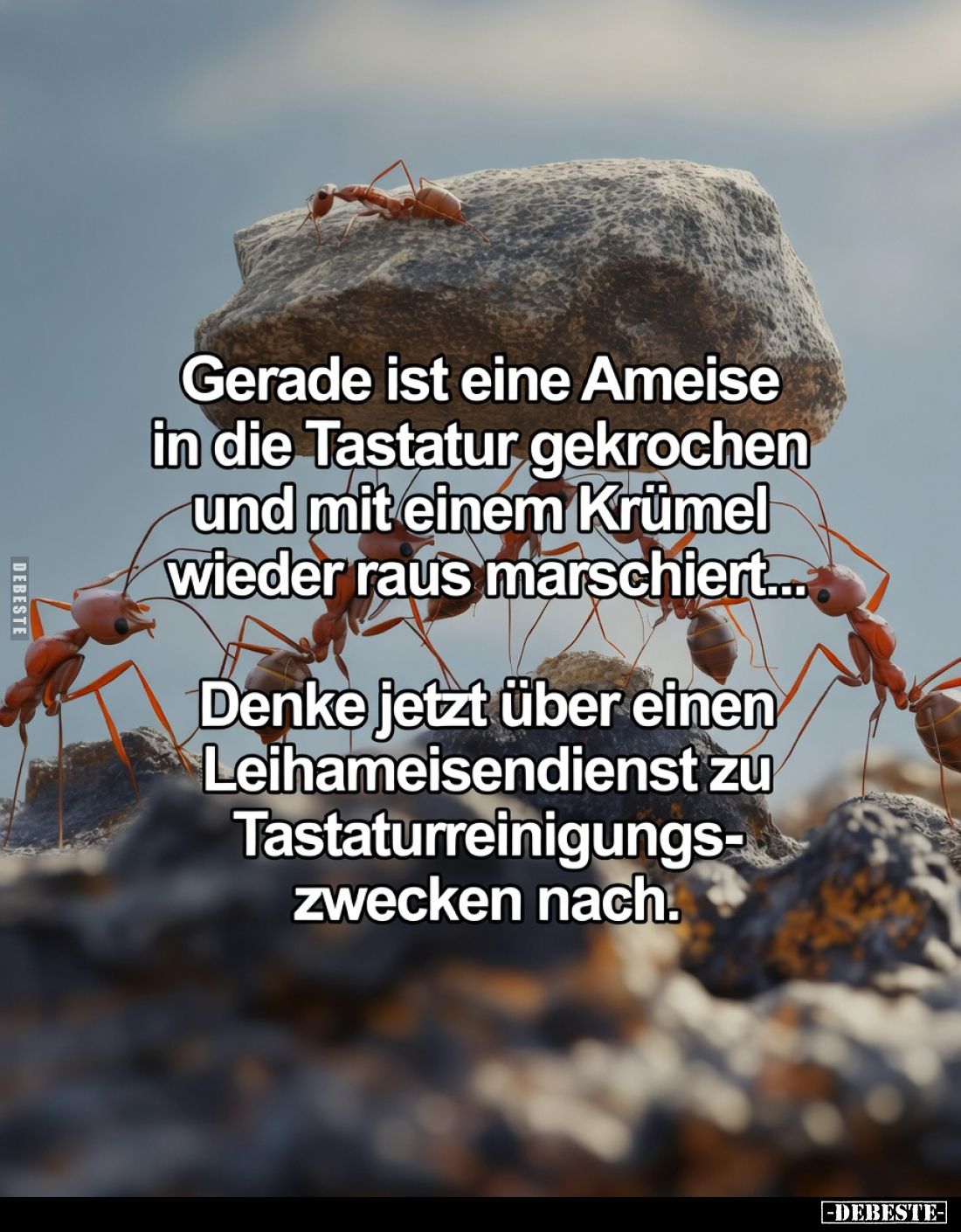 Gerade ist eine Ameise in die Tastatur gekrochen und mit einem Krümel wieder raus marschiert...
Denke jetzt über einen Lei...