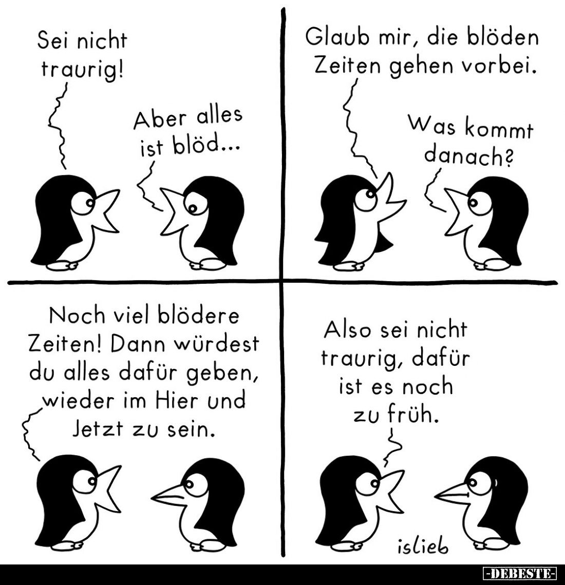 Sei nicht traurig!
Aber alles ist blöd...
Glaub mir, die blöden Zeiten gehen vorbei.
Was kommt danach?
Noch viel blödere ...