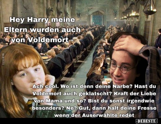 Hey Harry meine Eltern wurden auch von Voldemort.. - Lustige Bilder | DEBESTE.de