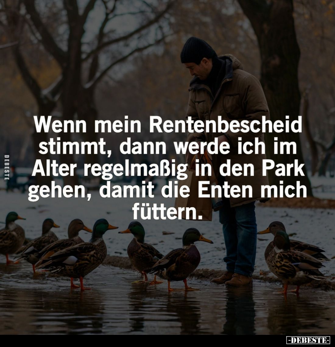 Wenn mein Rentenbescheid stimmt, dann werde ich im Alter regelmäßig in den Park gehen, damit die Enten mich füttern.