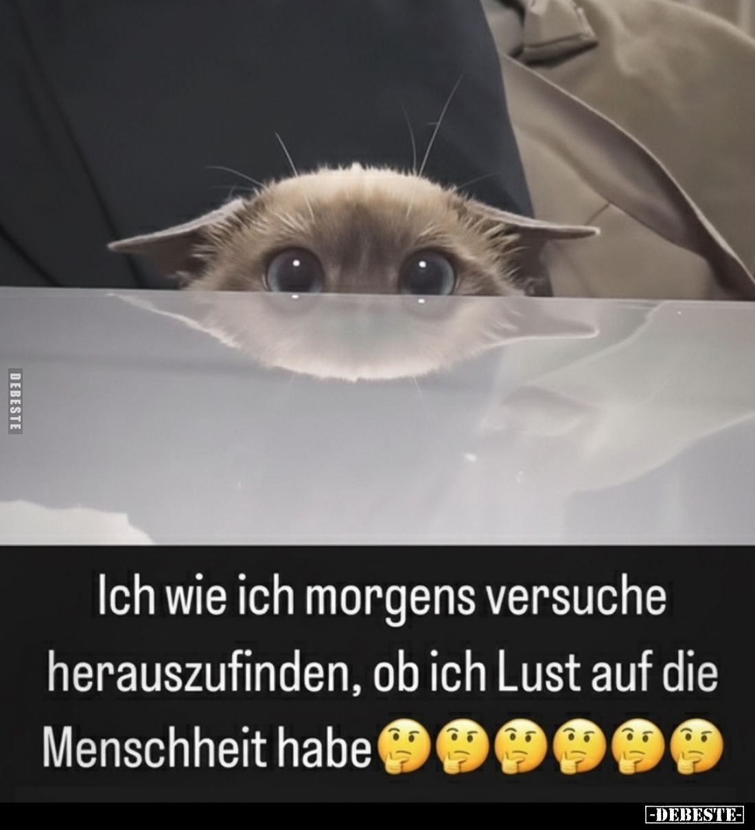 Ich wie ich morgens versuche herauszufinden, ob ich Lust auf die Menschheit habe.