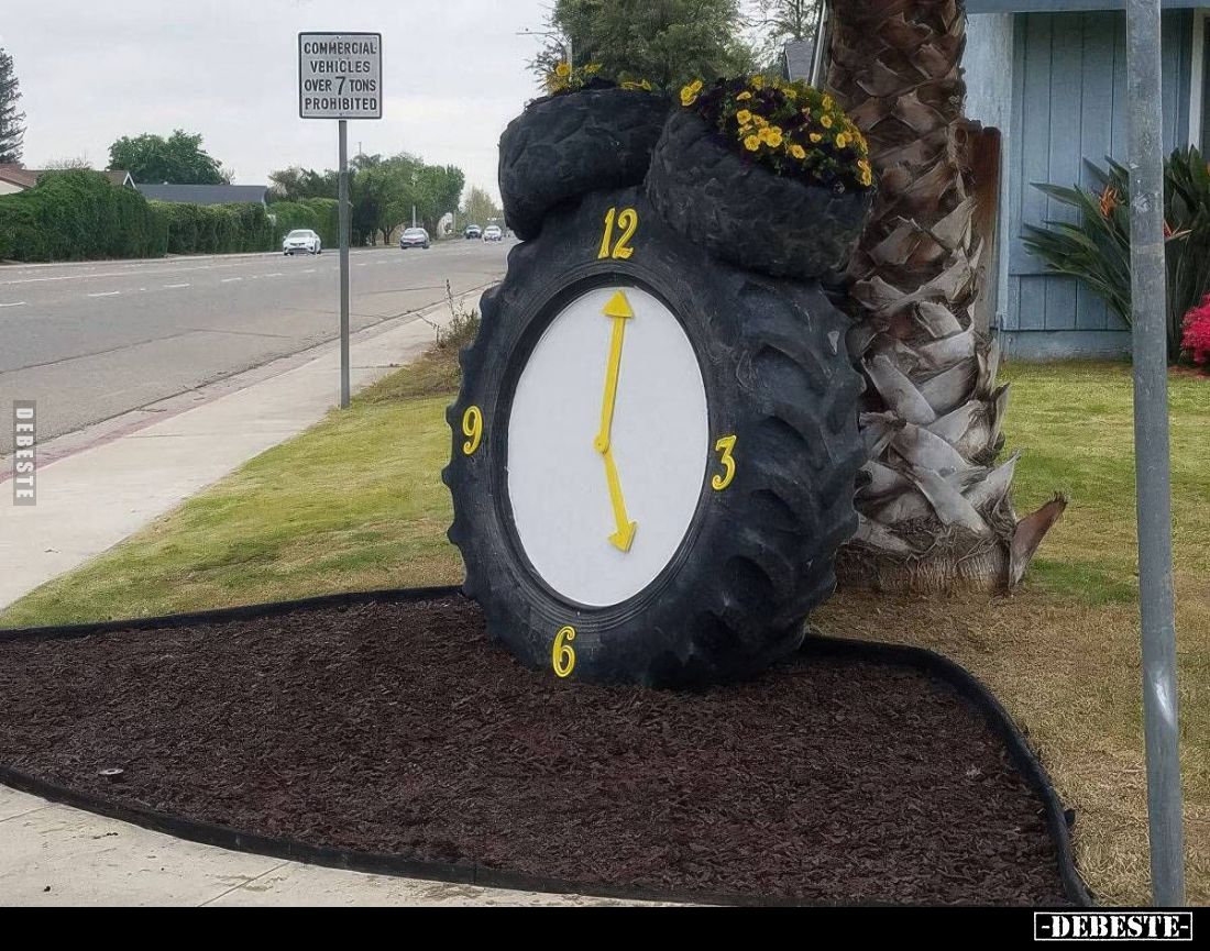  - Lustige Bilder | DEBESTE.de