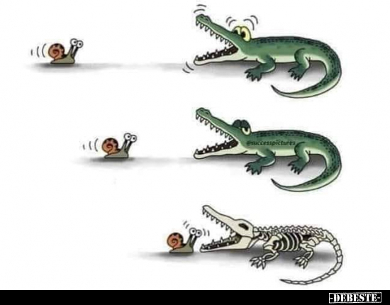  - Lustige Bilder | DEBESTE.de