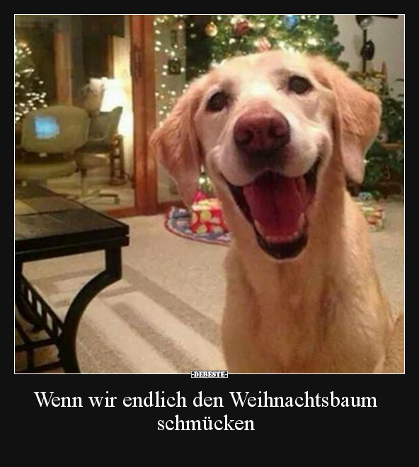 Wenn wir endlich den Weihnachtsbaum schmücken.. - Lustige Bilder | DEBESTE.de